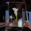 flower in ice cube