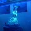 Greatest Party on Earth 2010 Seal Ice Sculpture