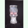skull Ice Sculpture